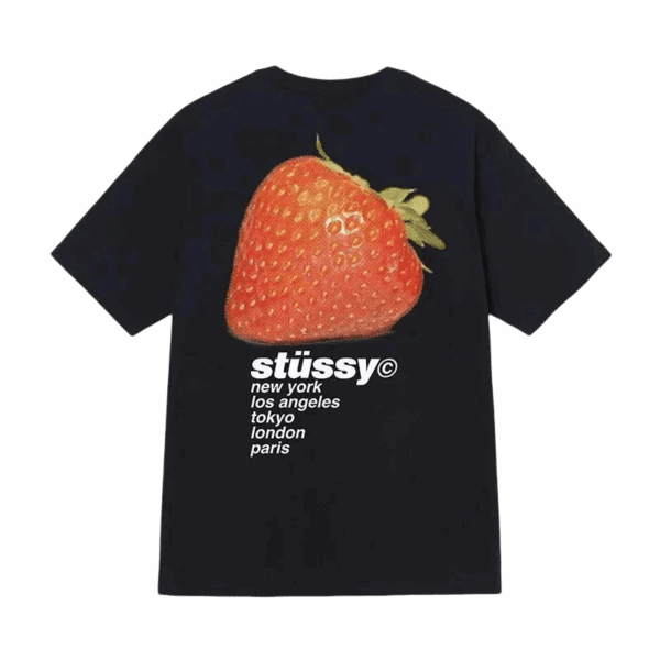 Stussy(40 options)